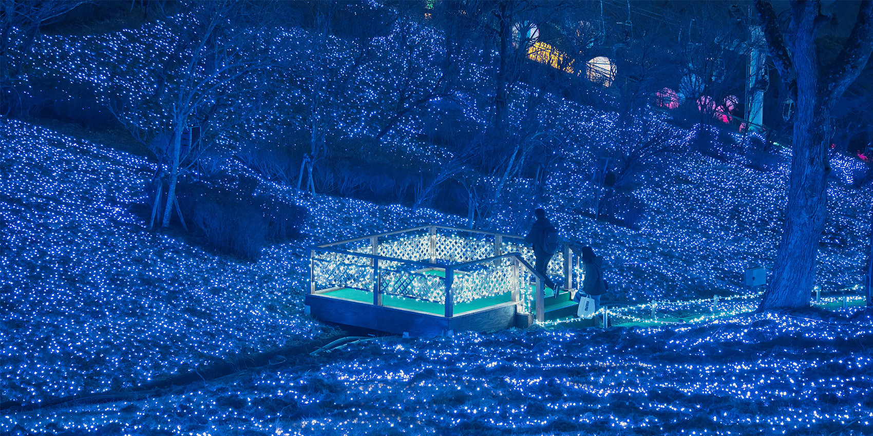写真：さがみ湖イルミリオン（さがみ湖MORIMORI）