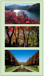 大学生等が撮影した写真 画像
