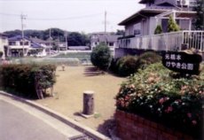 写真:元橋本遺跡