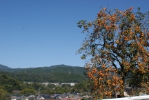 里の秋(緑区日連)の拡大写真を表示