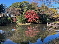 道保川公園の朝の風景(2025年11月分)の拡大写真を表示