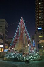 相模原ウィンター・イルミネーション with 宵の明星 （2024年12月撮影分）の拡大写真を表示