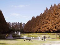 晩秋の相模原公園（2024年12月撮影分）の拡大写真を表示