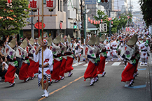 東林間サマーわぁ!ニバル(2025年8月撮影分)の拡大写真を表示