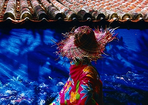 「深海の乙女」松永 正行(東京都)の写真