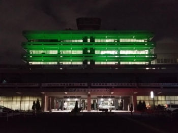 グリーンライトアップされた市役所の写真