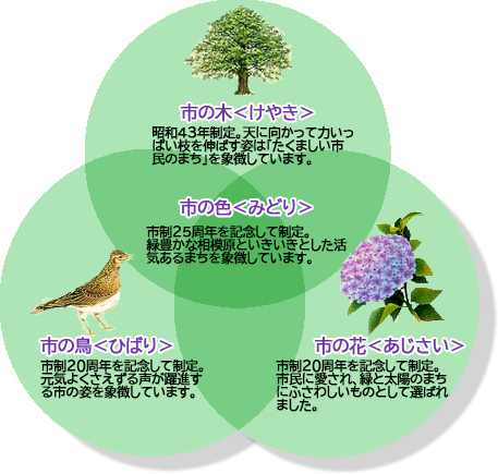 イラスト：市の木・市の鳥・市の花・市の色