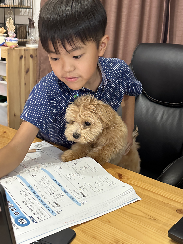 優秀賞「一緒にお勉強タイム」の写真