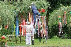 大きな脚立を使って装飾中 写真