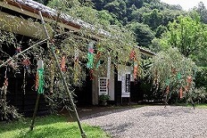 入り口前の竹飾り 写真