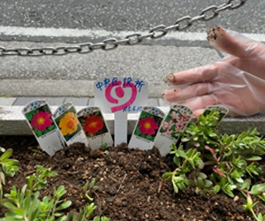 鉢植えにさされたプレート 写真