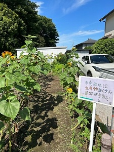 美化委員のポスター 写真
