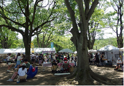 鹿沼公園銀河マルシェ 写真