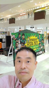 フェスタ告知の緑看板 写真