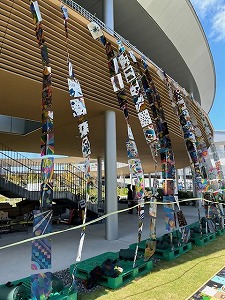 立体展示 写真