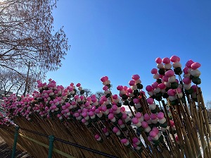 3色団子 写真