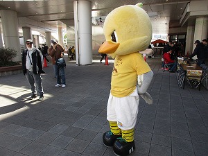 ガミティ 写真