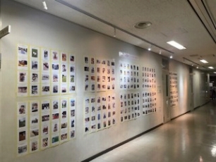 作品展示の写真