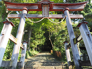與瀬神社鳥居 写真