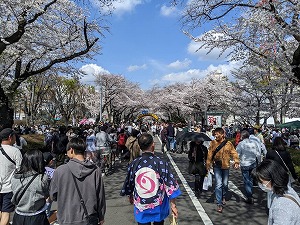 アーチ付近 写真