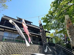 こいのぼり 写真