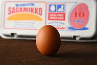 平飼い有精卵 さがみっこ