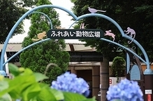 ふれあい動物広場