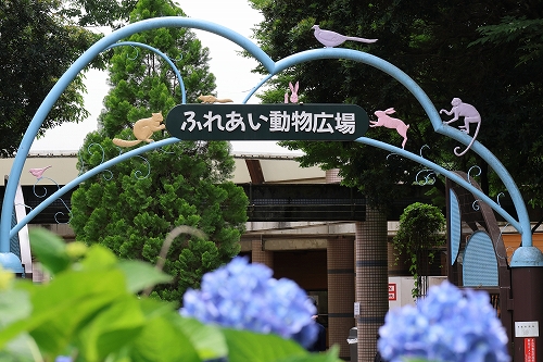 ふれあい動物広場