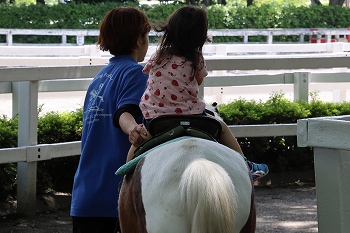 ポニーの乗馬