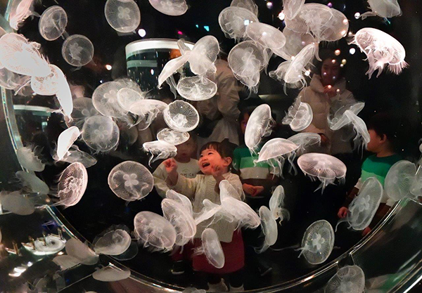 平井 正友『感動!!』