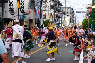 東林間サマーわぁ！ニバルの写真
