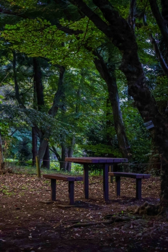 緑の小径（こみち）