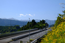 県道510号の高架橋
